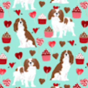 Meet your Posher, Ella